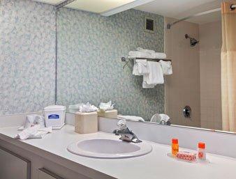 Howard Johnson By Wyndham Hotel 3*